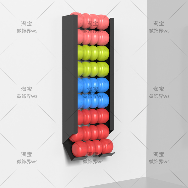 Home Gym Folding Rack - ‌ Duvara Monte Edilen Spor Topu